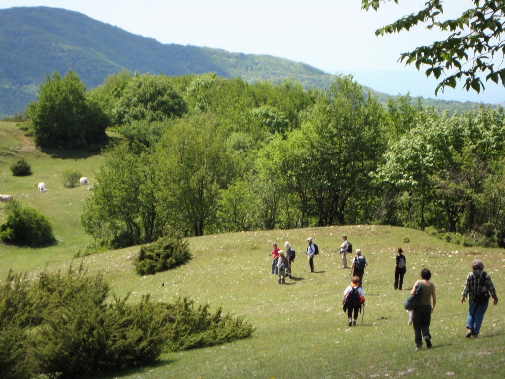 Domenica 25 settembre 22 – Escursione Monti Lucretili Monte Faito , da Pozzaglia al Belvedere Ara d’Ambrosi (RI)