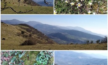 DOMENICA 23 APRILE 2023- ESCURSIONE:”SABINA, VALLE DEL FARFA, I PANORAMICI PIANORI DI COLLE DEGLI ELCI ( RI )”
