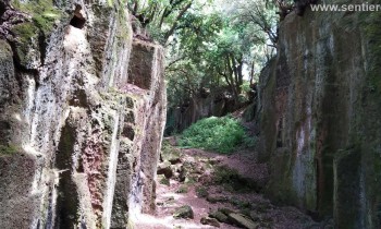 SABATO 25/11- ARCHEOTREKKING- L’AFFASCINANTE VIA SEPOLCRALE DELL’ANTICA CAERE (RM)
