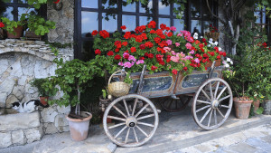 Valle delle Rose (5)