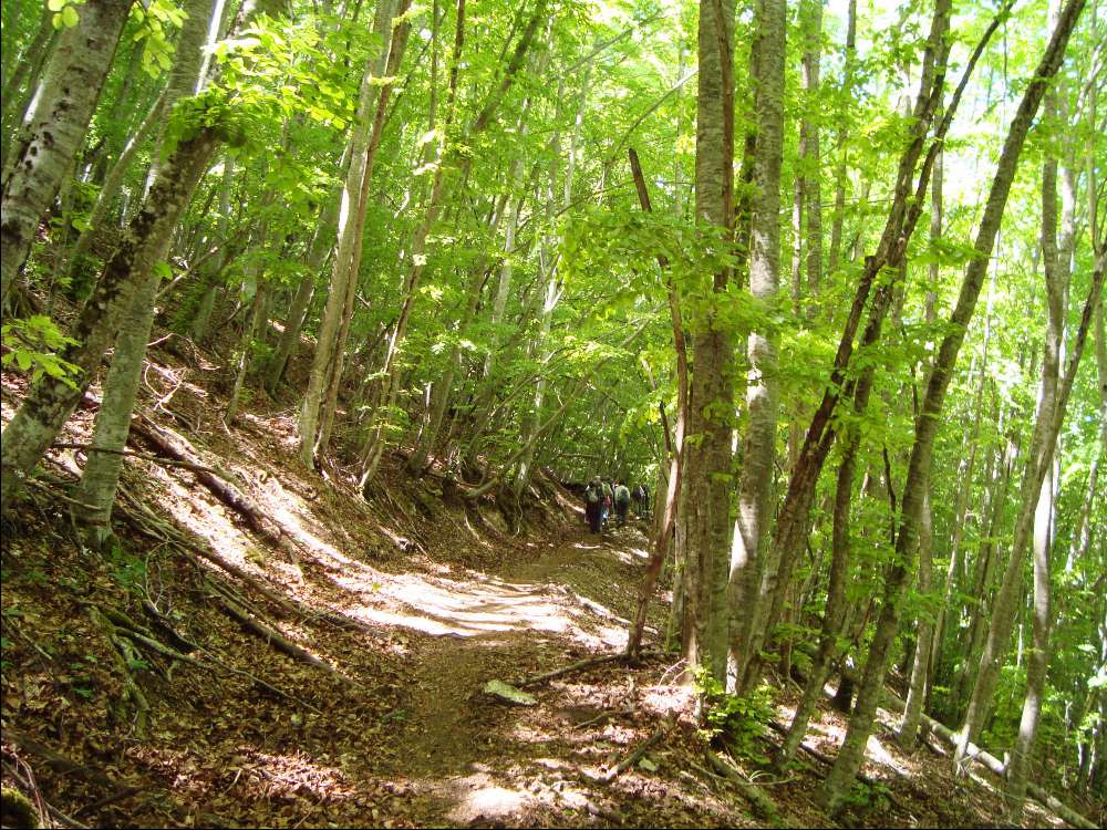 Escursioni natura e cultura