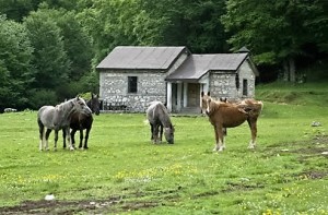 rifugio-campocatino-2-copia