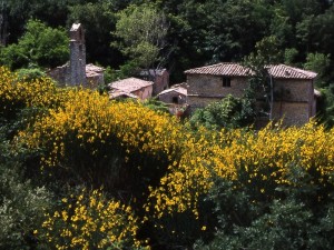 S. Pietro