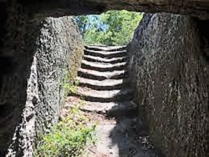 mini_CORVIANO (6)