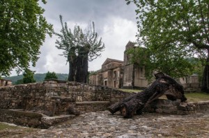 ROSCIGNO VECCHIA (4)