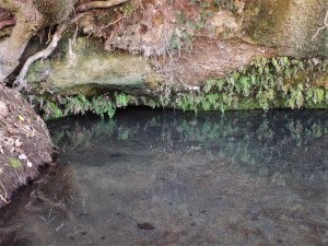 mini_SORGENTI DELLA NOVA (VT) (7)