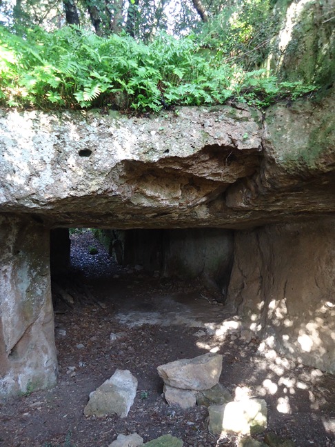 SABATO 18/11/23-  ARCHEOTREKKING- PIZZOIELLA (VT)DAGLI ANTICHI FALISCI AL MEDIOEVO