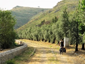 VIA FRANCIGENA SUD (3)