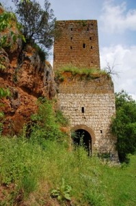 CASTEL D'ASSO(VT) torre-castel-dasso