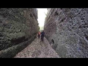 Castel d'ischia TAGLIATA-CAVONI-NEPI