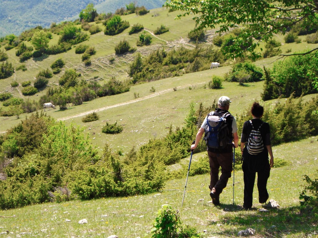 ASSOCIAZIONE CULTURALE IL SENTIERO DEGLI ELFI DI ROMA La nostra associazione IL SENTIERO DEGLI ELFI DI ROMA e’ sempre stata alla ricerca dal 1992, di aree naturalistiche, parchi, antichi borghi, aree archeologiche e della bellezza nella natura e cultura… CLICCA SU ARTICOLO