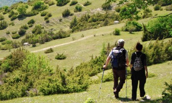 ASSOCIAZIONE CULTURALE IL SENTIERO DEGLI ELFI DI ROMA La nostra associazione IL SENTIERO DEGLI ELFI DI ROMA e’ sempre stata alla ricerca dal 1992, di aree naturalistiche, parchi, antichi borghi, aree archeologiche e della bellezza nella natura e cultura… CLICCA SU ARTICOLO