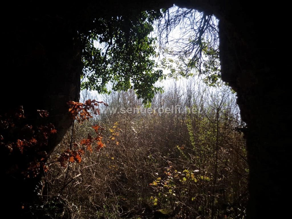 SABATO 6/2 – Escursione- Un castello perduto della Tuscia: Castel Paterno (VT)