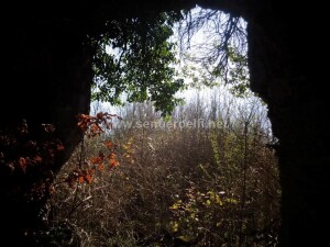 DSC01628