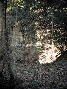 DSC01639