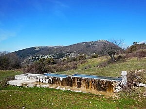 SABINA TIBERINA DIAVOLO (5)