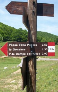 Anello Campaegli