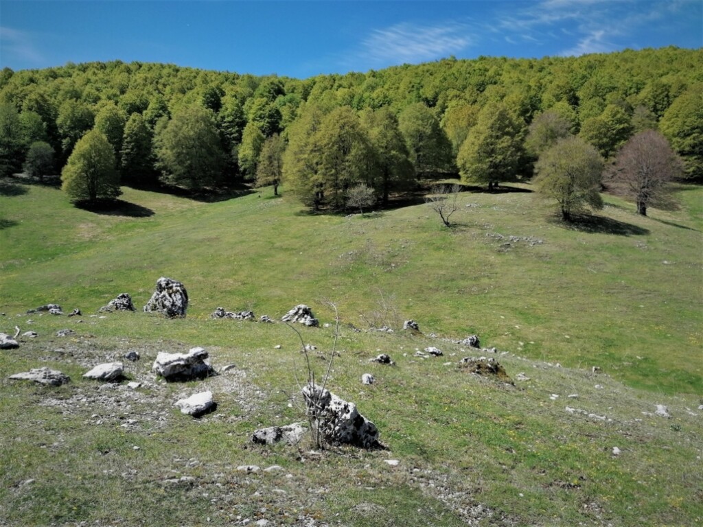 DOMENICA 17/9/23- ESCURSIONE -PARCO DEI MONTI SIMBRUINI-  IL GRANDE ANELLO DI MONTE PELATO  (RM).