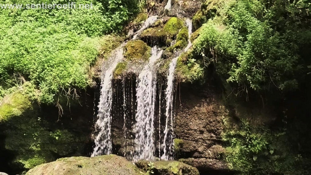 DOMENICA 31/10 – ESCURSIONE- IL SENTIERO DEL CARDINALE E LA CASCATA DEL PICCHIO (VT)