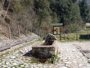 SORGENTI CAPORE (3)