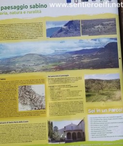SORGENTI CAPORE (3)