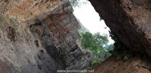SI (4)