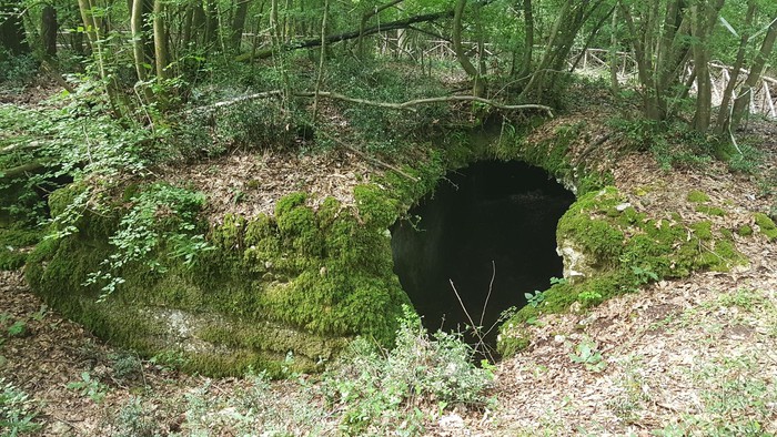 DOM 6/2-  UN BOSCO INCANTATO:  IL GRANDE ANELLO DELLA  MACCHIA DI GATTACECA E DEL BARCO ( RM)