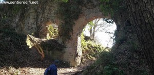 SI MONTERANO (17)