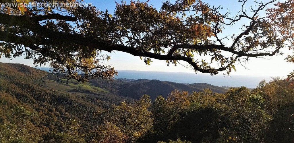 DOMENICA 20/3- ESCURSIONE MONTI DELLA TOLFA, IL BELVEDERE DI COLLE CAVONE (RM).