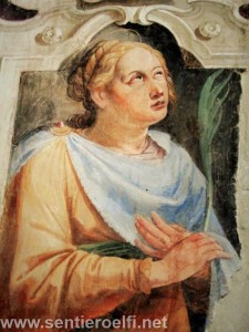 mini_DSC07531