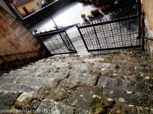mini_DSC07569