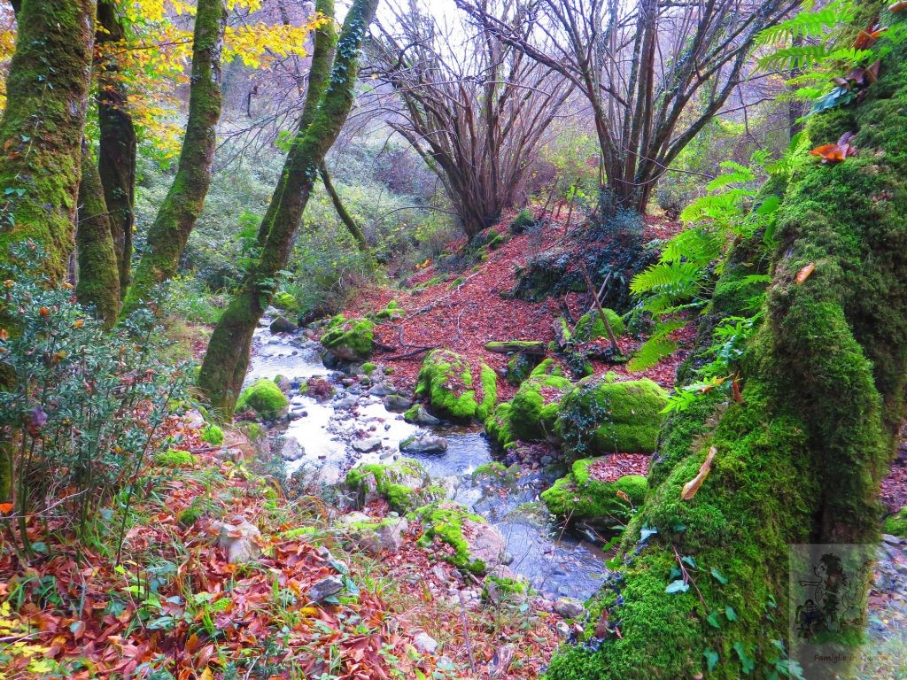 DOMENICA 10/4- Escursione- Monti Prenestini: tra natura e storia,  Il Monumento Naturale della Valle delle Cannuccete (RM).