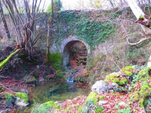 CANNUCCETE (3)