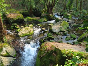 CASCATE MONTE GELATO TREJA (2)