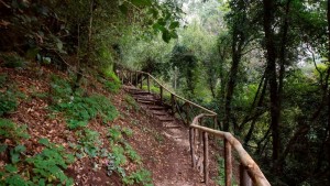 CASCATE MONTE GELATO TREJA (3)