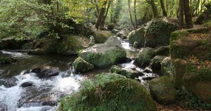 CASCATE MONTE GELATO treja