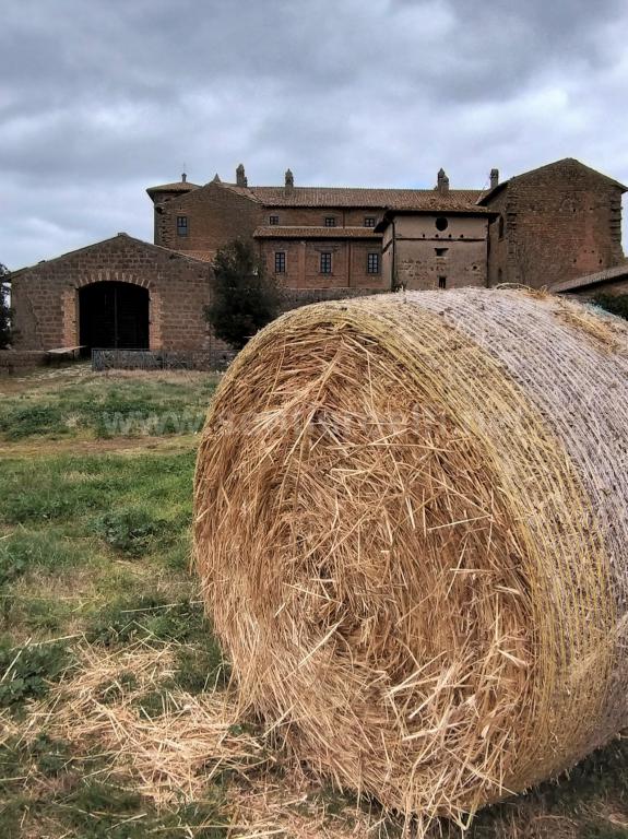 DOMENICA 3/4- Archeotrek- Tuscia misteriosa, lungo il percorso della Via Clodia, alla scoperta di uno sconosciuto feudo medievale. (VT)