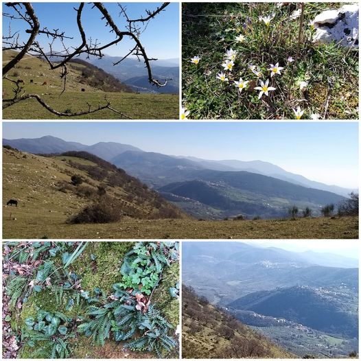 DOMENICA 21/4/24 – ESCURSIONE:”SABINA, VALLE DEL FARFA, I PANORAMICI PIANORI DI COLLE DEGLI ELCI ( RI )”