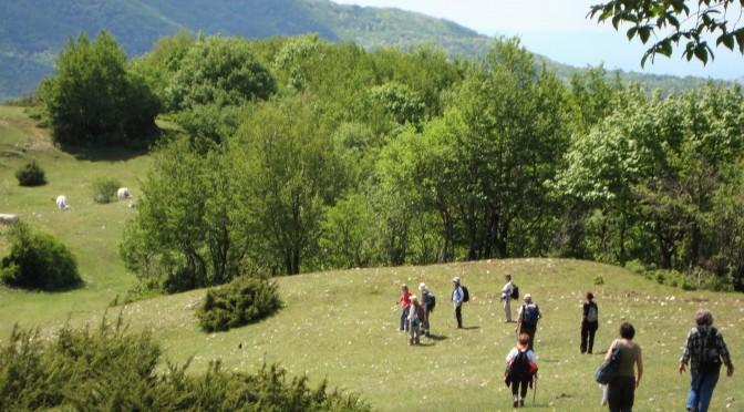 Domenica 21/5/23- Escursione Monti Lucretili Monte Faito , da Pozzaglia al Belvedere Ara d’Ambrosi (RI)