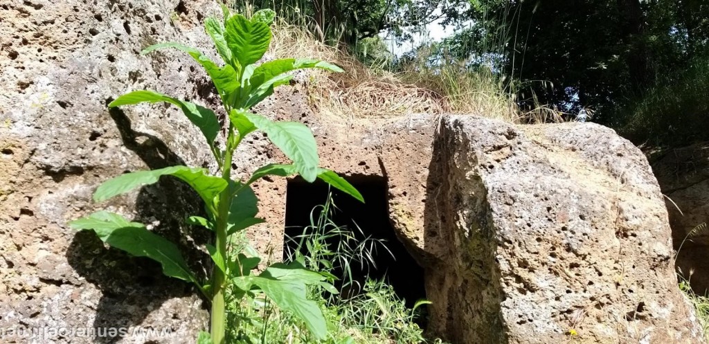 CERVETERI (4)