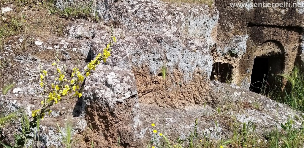 CERVETERI (5)