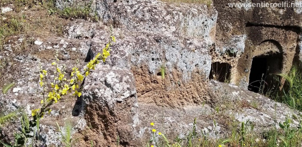 CERVETERI (5)