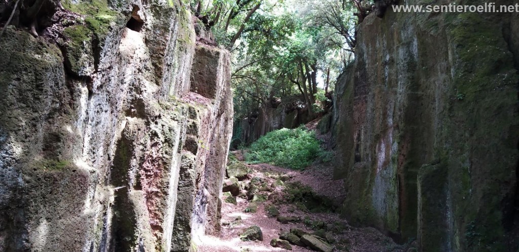 SABATO 24/2/24: ARCHEOTREKKING- COLLI CERITI , LE AFFASCINANTI VIE SEPOLCRALI DELL’ANTICA CAERE (RM)