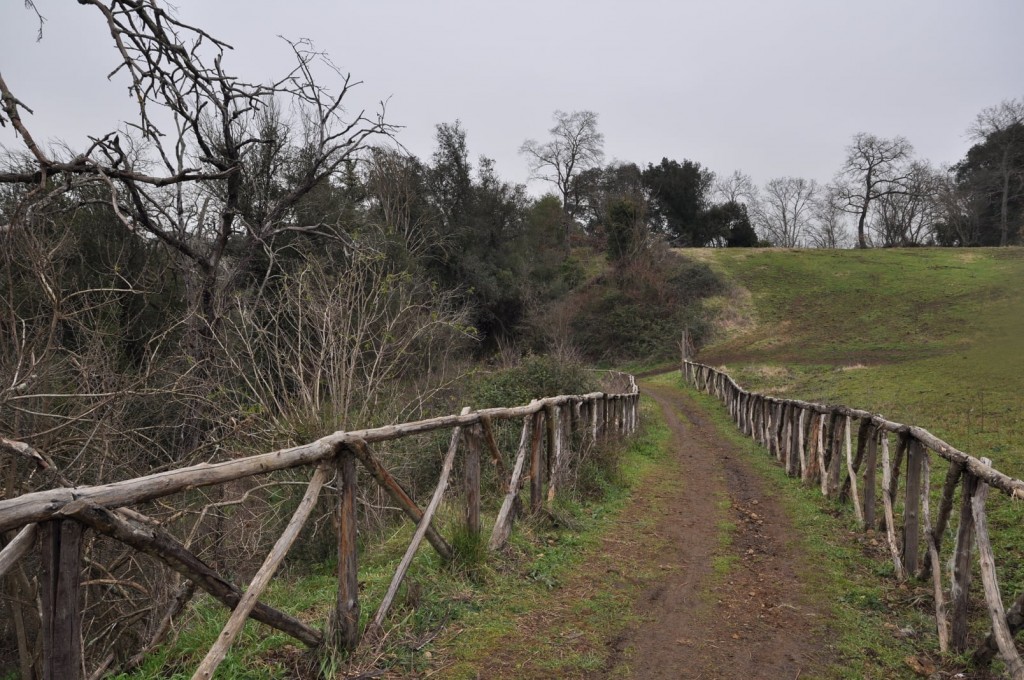 parco-di-veio-roma-1