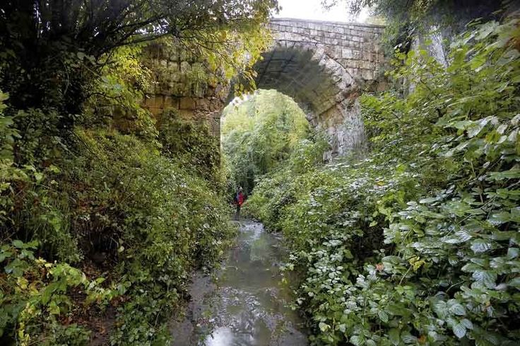 DOMENICA 18/2/24: ARCHEOTREKKING- SULLE TRACCE DELLA VIA CLODIA, UNA ANTICA STRADA ETRUSCO-ROMANA (VT).