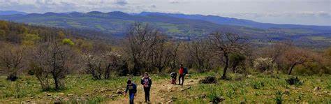 DOMENICA 14/4/24: ESCURSIONE- L’AFFASCINANTE NATURA DELLA MAREMMA TOLFETANA NELLE BANDITE DI MARTURANO (VT).